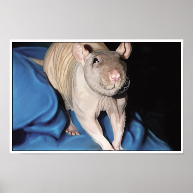 Poster av Hairless Råtta (Framsidan)
