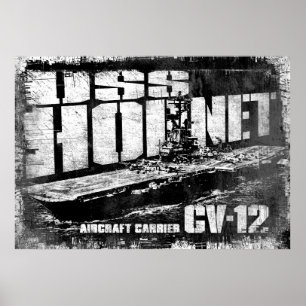 Poster av hangarfartyg