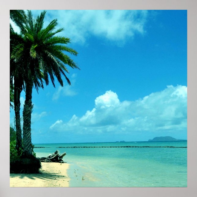 Poster av hawaii Tropical Beach (Framsidan)