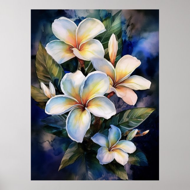 Poster av hawaiian Moonlight Plumeria (Framsidan)
