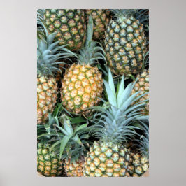 Poster av hawaiiska ananas