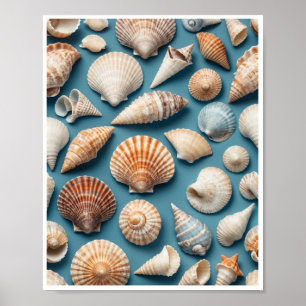 Poster av Hem-dekorrum för Sea Snäcka Wall Art Hem