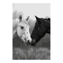 Poster av Horse Lover Friends Photographic Art