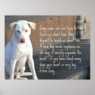 Poster av hund - Erica Jong