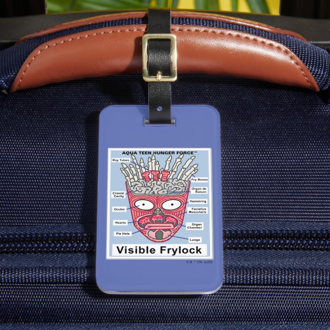Poster av Hungrig Tvinga Visible Frylock Tonåring  Bagagebricka (Framsida Insitu 2)