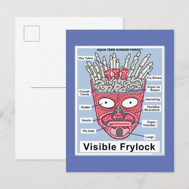 Poster av Hungrig Tvinga Visible Frylock Tonåring  Vykort (Fram/baksida)