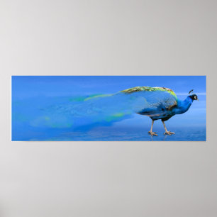 Poster av husdjur