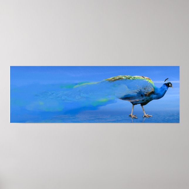 Poster av husdjur (Framsidan)
