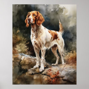Poster av Irish Red and White Setter Hund Art Prin