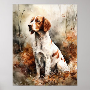 Poster av Irish Red and White Setter Hund Art Prin
