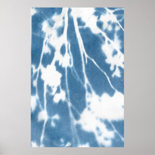 Poster av japansk Cherry Bloom Cyanotype