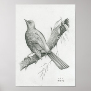 Poster av Kambodjanska fåglar 1 av Vannak Anan Pru