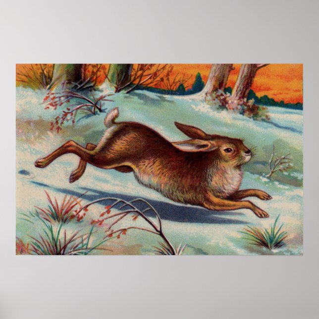 Poster av kaninmedium i december (Framsidan)