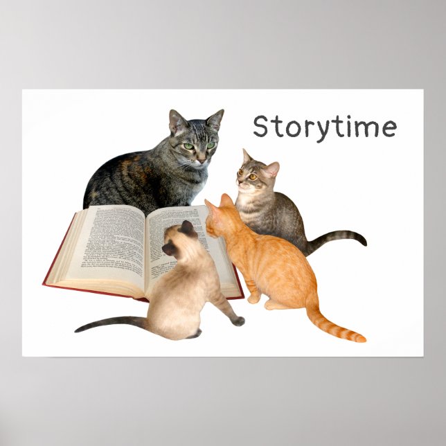 Poster av katter som läser Bok (Framsidan)