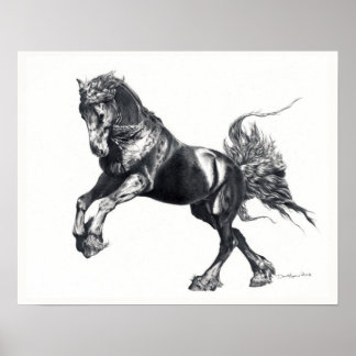 Poster av Keegan Jewel Friesian Stallion