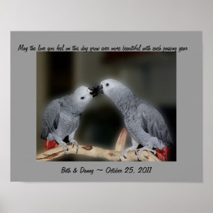 Poster av Kissing Parrots Cute Bröllop Gift
