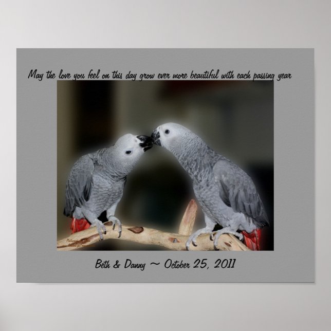 Poster av Kissing Parrots Cute Bröllop Gift (Framsidan)