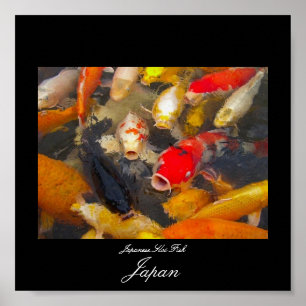 Poster av koisk fisk i Japan