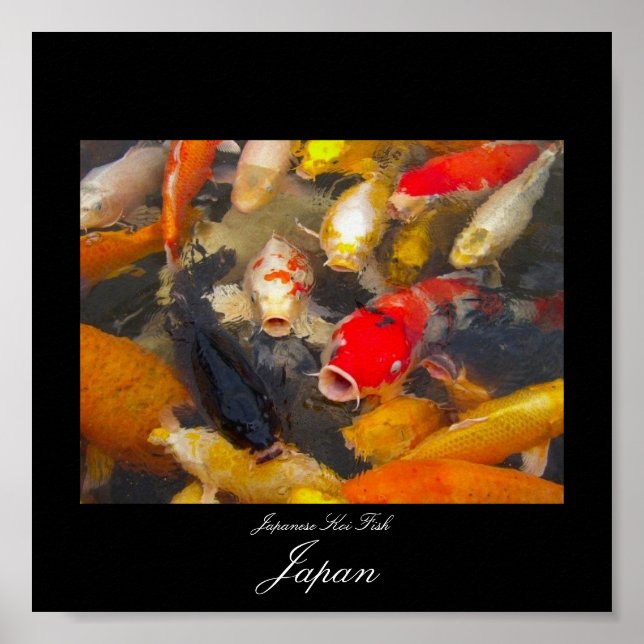 Poster av koisk fisk i Japan (Framsidan)