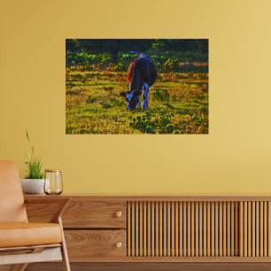 Poster av konst i Texas Holstein Art