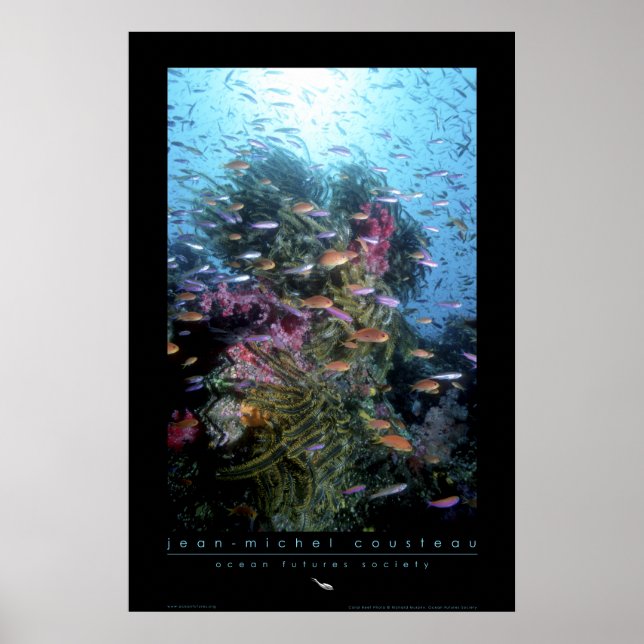 Poster av korallrev (Framsidan)