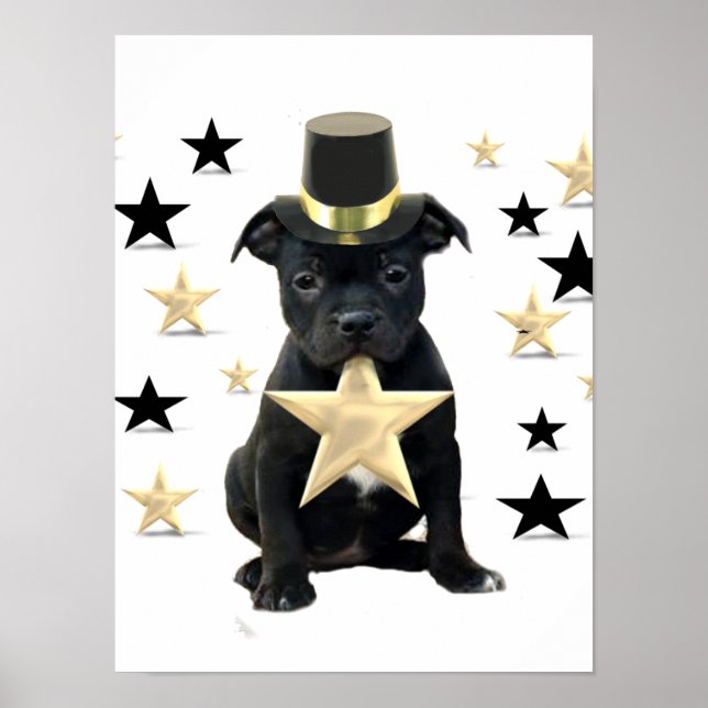 Poster av kvalster (Framsidan)