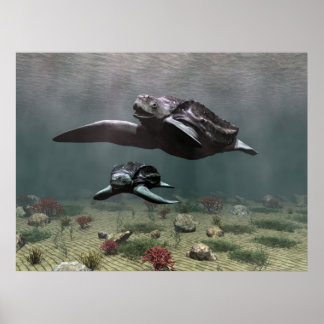 Poster av lädersköldpadda