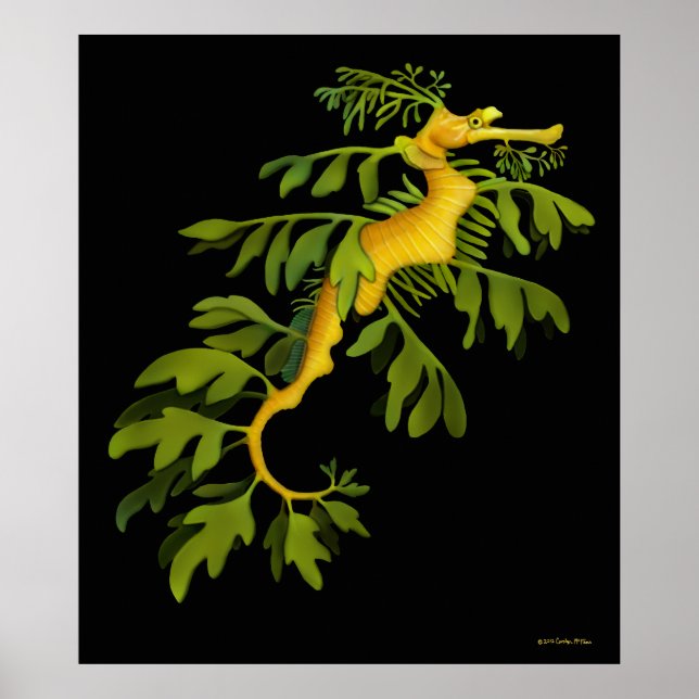 Poster av Leafy Sea Dragon Seahorse (Framsidan)