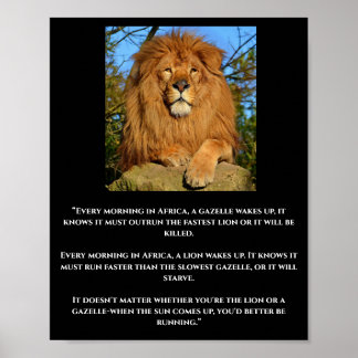 Poster av lejon och Gazelle African Quote