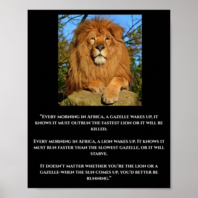 Poster av lejon och Gazelle African Quote (Framsidan)