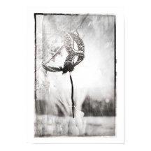 poster av leopard print maschera