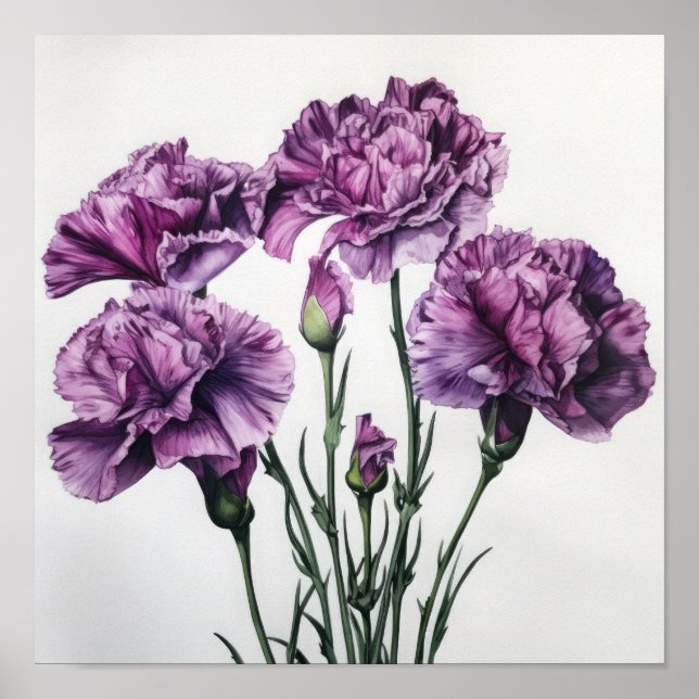 Poster av lila Carnations Flower Art Print  (Framsidan)