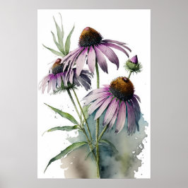 Poster av lila Coneflowers Art Print