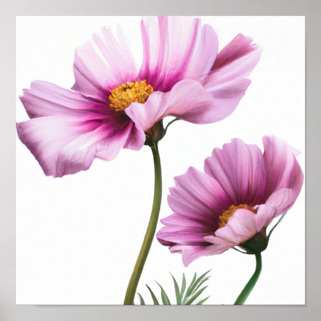 Poster av lila Cosmos Flower Art Print  (Framsidan)