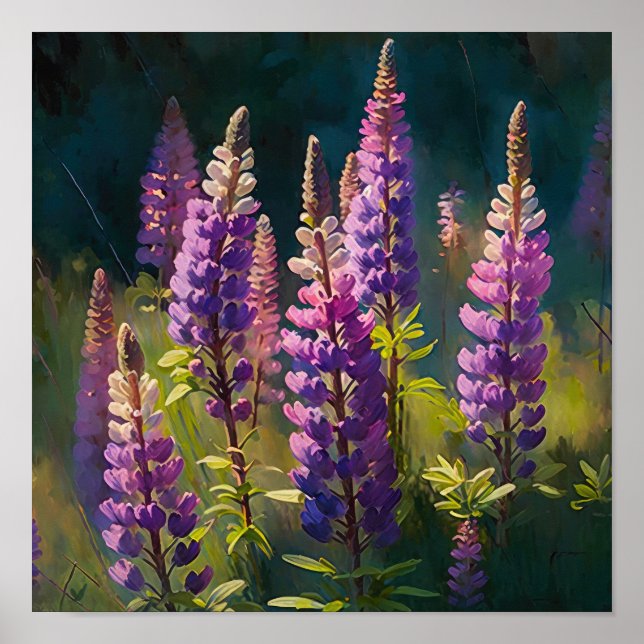 Poster av lila Lupine Flower Art-utskrift (Framsidan)