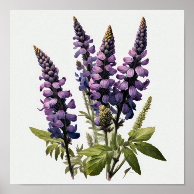 Poster av lila Lupine Flower Art-utskrift (Framsidan)