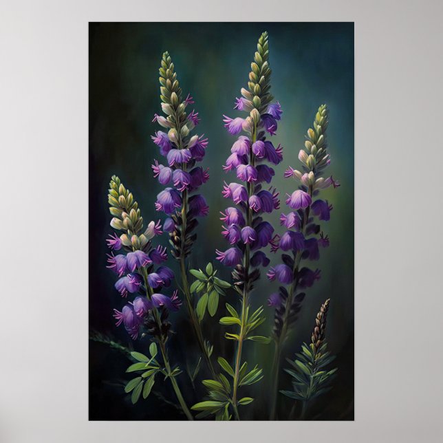 Poster av lila Lupine Flower Art-utskrift (Framsidan)