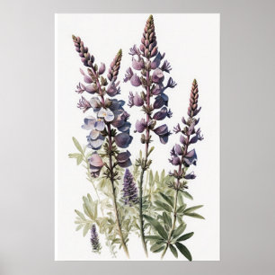 Poster av lila Lupine Flower Art-utskrift