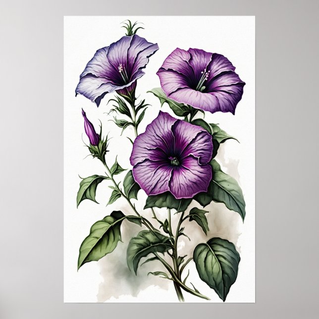 Poster av lila Petunias Flower Art Print  (Framsidan)