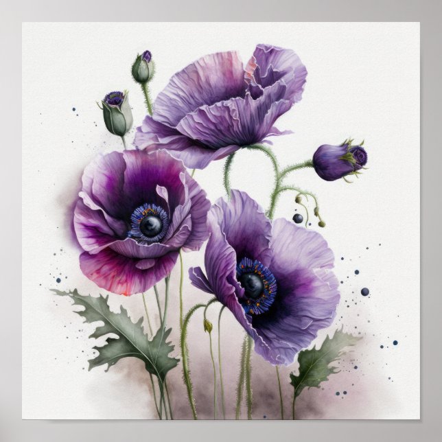 Poster av lila Poppy Flowers Art Print  (Framsidan)