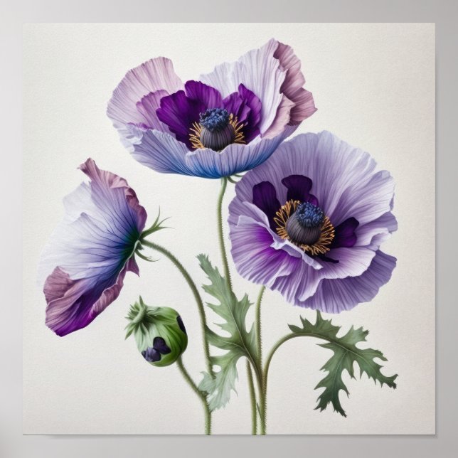 Poster av lila Poppy Flowers Art Print  (Framsidan)