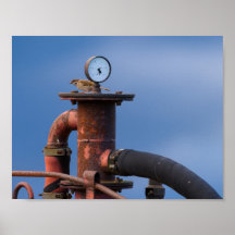 Poster av luft-tryck vid kontroll av Sparrow