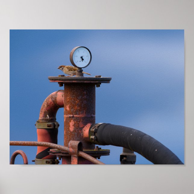 Poster av luft-tryck vid kontroll av Sparrow (Framsidan)