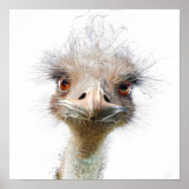 Poster av luminous Emu art kycklingart (Framsidan)