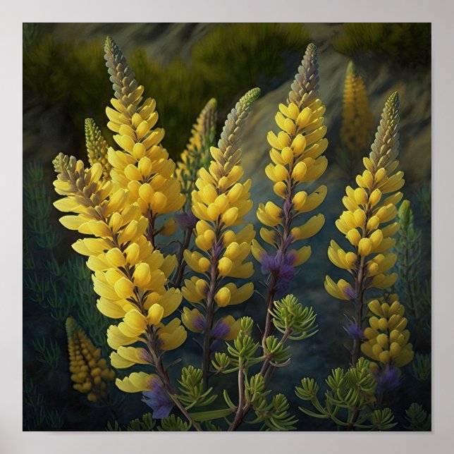 Poster av Lupine Flower Art-utskrift för gult (Framsidan)