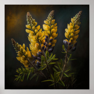 Poster av Lupine Flower Art-utskrift för gult