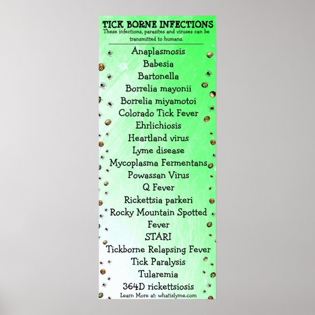 Poster av lyme Disease Awareness Tick (Framsidan)