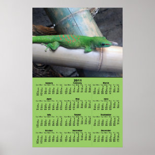 Poster av Madagaskars Giant Day Gecko 2011