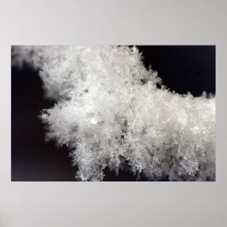 Poster av makro Snowflake