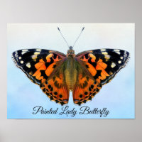 Poster av målad Dam Butterfly Watercolor Painting
